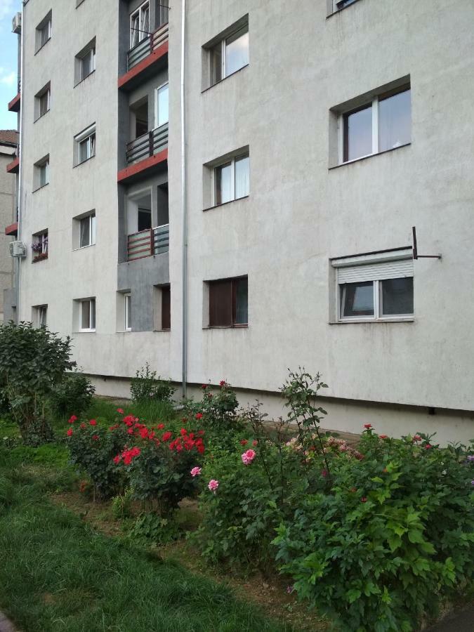 Alesia Apartment Oradea Exterior photo